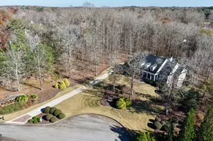 48 Fern Leaf Way, Newnan, GA 30265 - Photo 61