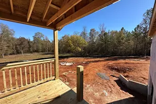 151 Nancy Lane, Forsyth, GA 31029 - Photo 9