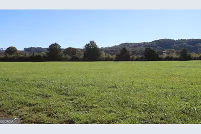 46 Buck Gardner Road, Menlo, GA 30731 - Photo 29