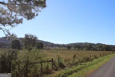 46 Buck Gardner Road, Menlo, GA 30731 - Photo 5