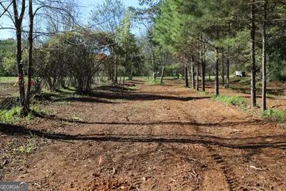 46 Buck Gardner Road, Menlo, GA 30731 - Photo 9