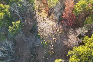 0 Canoe Way, Talking Rock, GA 30175 - Photo 1