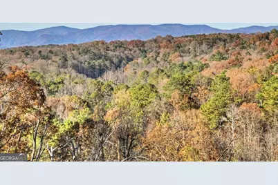 21 Crown Court #399, Ellijay, GA 30540 - Photo 49