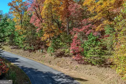 Lot 22 Meadow Brook Trail #22, Morganton, GA 30560 - Photo 5