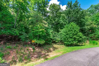 Lot 22 Meadow Brook Trail #22, Morganton, GA 30560 - Photo 9