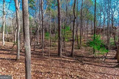 Lot 22 Meadow Brook Trail #22, Morganton, GA 30560 - Photo 39