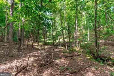 Lot 22 Meadow Brook Trail #22, Morganton, GA 30560 - Photo 21