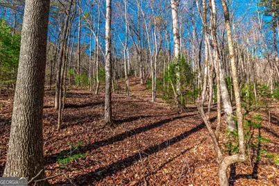 Lot 22 Meadow Brook Trail #22, Morganton, GA 30560 - Photo 43