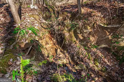 Lot 22 Meadow Brook Trail #22, Morganton, GA 30560 - Photo 37