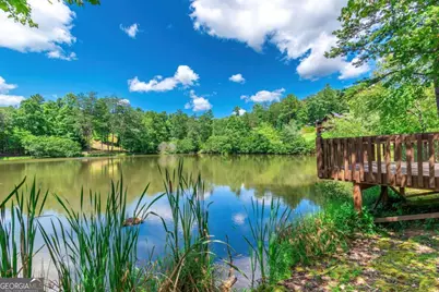 Lot 22 Meadow Brook Trail #22, Morganton, GA 30560 - Photo 51