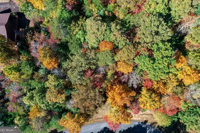 Lot 22 Meadow Brook Trail #22, Morganton, GA 30560 - Photo 23