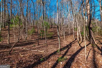 Lot 22 Meadow Brook Trail #22, Morganton, GA 30560 - Photo 31