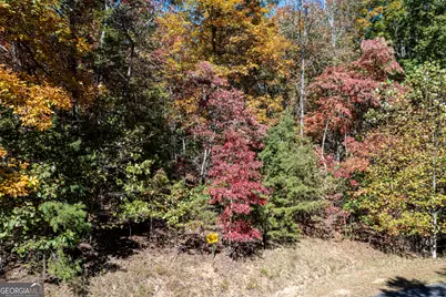 Lot 22 Meadow Brook Trail #22, Morganton, GA 30560 - Photo 47
