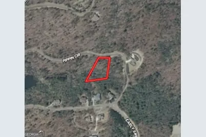 0 Orchard Drive #18, Clarkesville, GA 30523 - Photo 5