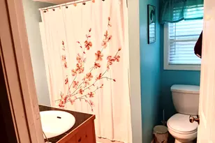 65 Black Oak Ridge Rd, Blue Ridge, GA 30513 - Photo 25