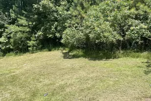 65 Black Oak Ridge Rd, Blue Ridge, GA 30513 - Photo 33