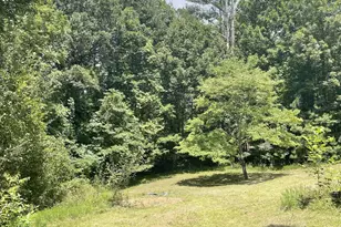 65 Black Oak Ridge Rd, Blue Ridge, GA 30513 - Photo 31