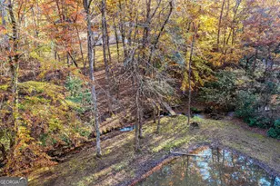 339 Wehunt Rd, Blue Ridge, GA 30513 - Photo 81