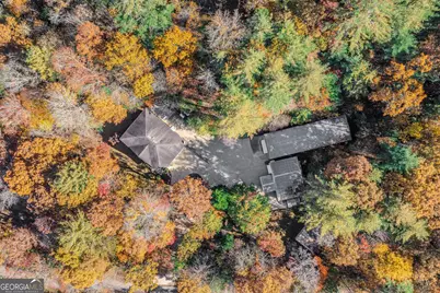 339 Wehunt Road, Blue Ridge, GA 30513 - Photo 29