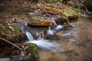 339 Wehunt Rd, Blue Ridge, GA 30513 - Photo 7