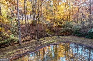 339 Wehunt Rd, Blue Ridge, GA 30513 - Photo 19