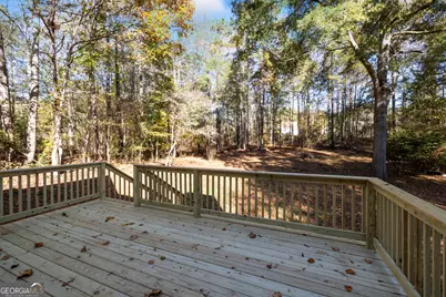 65 Barrington Ridge Court, Sharpsburg, GA 30277 - Photo 17