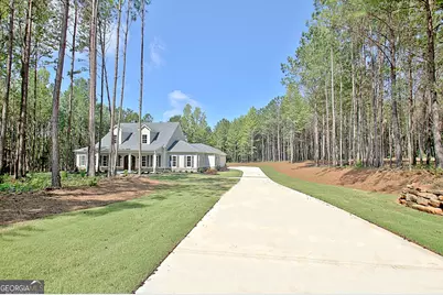 250 Bob Smith Road, Sharpsburg, GA 30277 - Photo 3