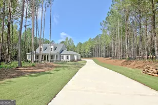 250 Bob Smith Rd, Sharpsburg, GA 30277 - Photo 3