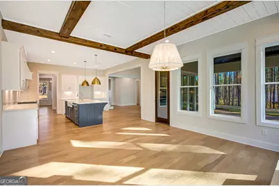 250 Bob Smith Road, Sharpsburg, GA 30277 - Photo 33