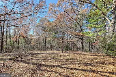 428 Orchard View Lane, Lakemont, GA 30552 - Photo 71