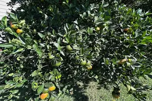 744 Sandy Bottom Dr, Lake Park, GA 31636 - Photo 7