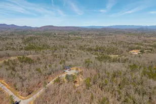 78 Hilltop Way, Mineral Bluff, GA 30559 - Photo 19