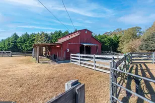 13819 Woolsey Rd, Hampton, GA 30228 - Photo 33