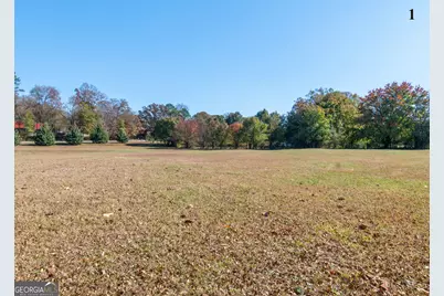 13819 Woolsey Road, Hampton, GA 30228 - Photo 25