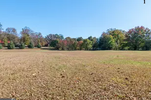 13819 Woolsey Rd, Hampton, GA 30228 - Photo 25