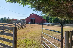 13819 Woolsey Rd, Hampton, GA 30228 - Photo 53