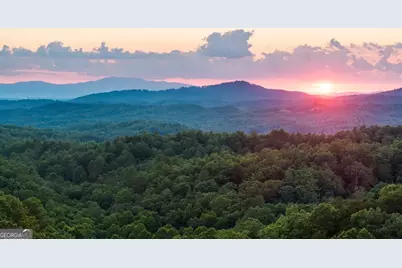 351 Black Dog Trail, Morganton, GA 30560 - Photo 39