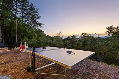 351 Black Dog Trail, Morganton, GA 30560 - Photo 37