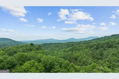 351 Black Dog Trail, Morganton, GA 30560 - Photo 41