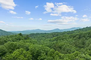 351 Black Dog Trail, Morganton, GA 30560 - Photo 41