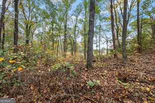 9 Dons Ct, Royston, GA 30662 - Photo 25