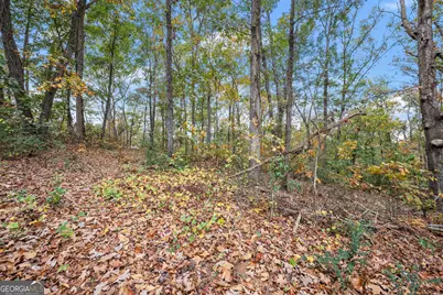 9 Dons Court, Royston, GA 30662 - Photo 23