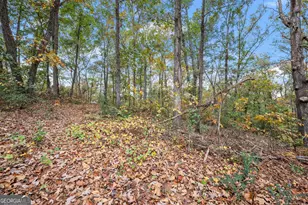 9 Dons Ct, Royston, GA 30662 - Photo 23