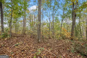 9 Dons Ct, Royston, GA 30662 - Photo 27