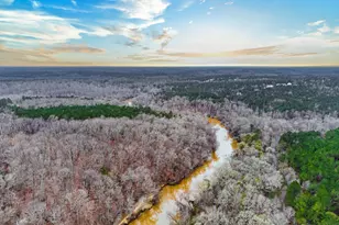 734 Fincher Rd, Covington, GA 30016 - Photo 79