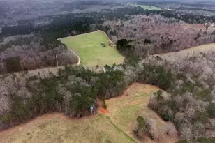 734 Fincher Rd, Covington, GA 30016 - Photo 81