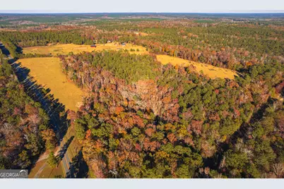 0 Pine Grove Church Road, Culloden, GA 31016 - Photo 3