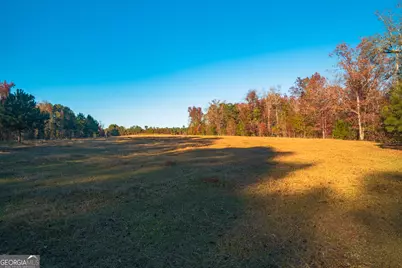 0 Pine Grove Church Road, Culloden, GA 31016 - Photo 5