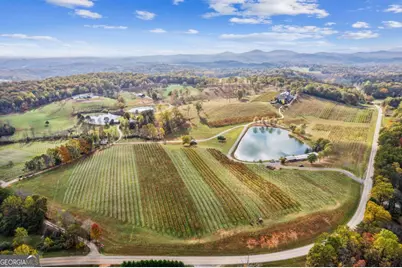 0 Via Senese, Dahlonega, GA 30533 - Photo 29