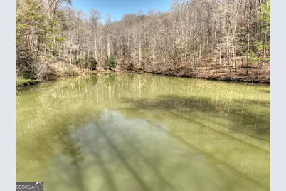 638 Cohutta Mountain Road #159, Cherrylog, GA 30522 - Photo 3